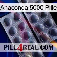 Anaconda 5000 Pill 31